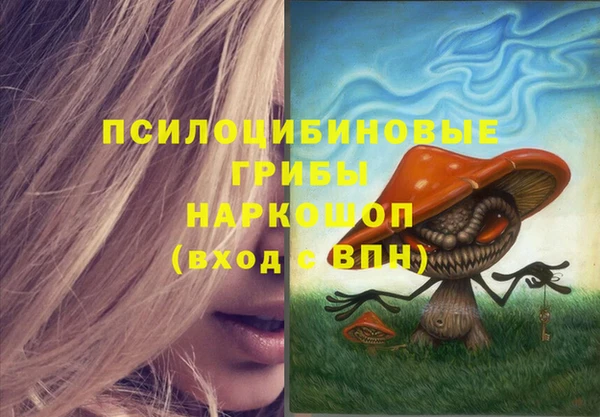 стаф Нефтегорск