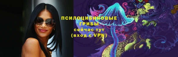 стаф Нефтегорск
