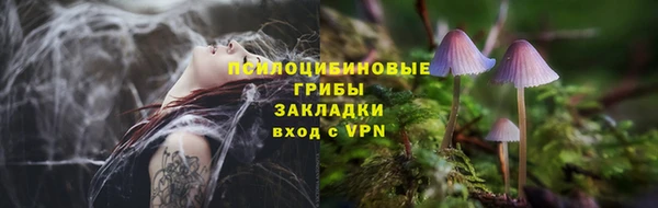 марки nbome Новодвинск