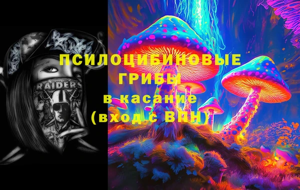 стаф Нефтегорск