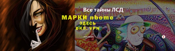 прущие грибы Нефтекумск