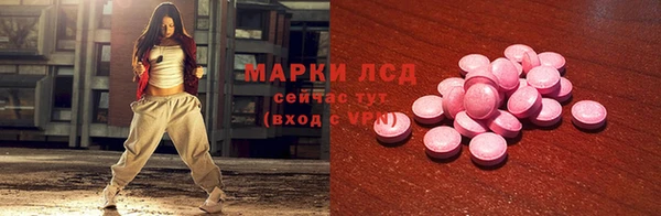 стаф Нефтегорск